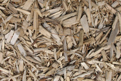 biomass boilers Hafodyrynys